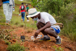 Reforestation Bôndy Initiative 2022 (123)